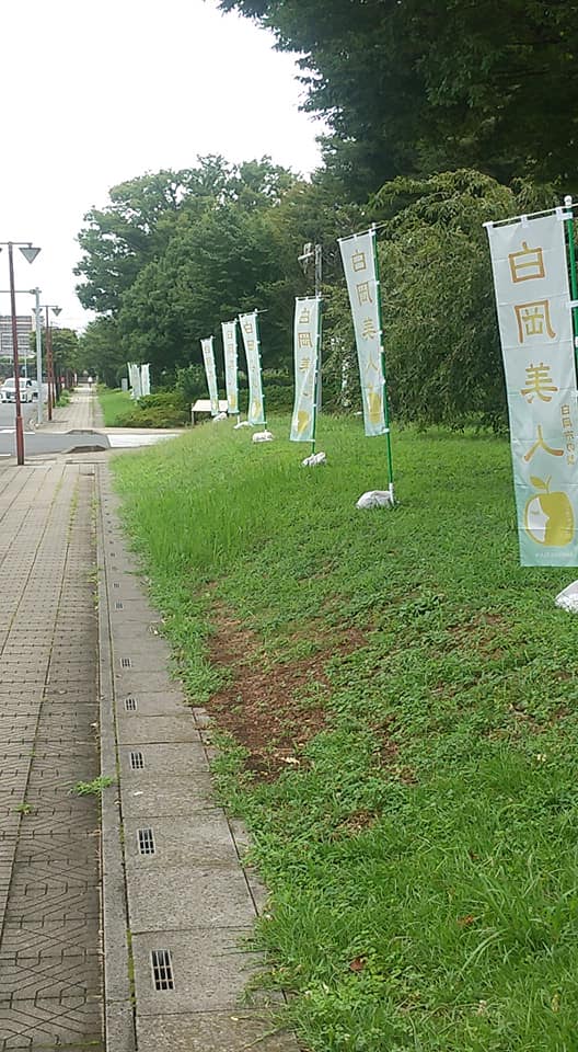 白岡市役所 白岡美人 白岡の梨