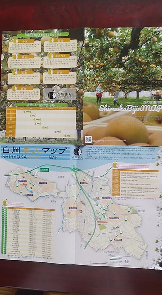 白岡美人 梨 直売所
